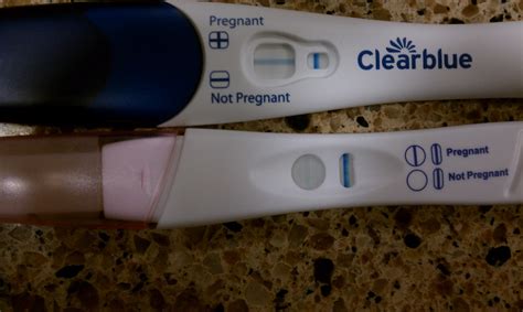 False negative pregnancy test: Negative pregnancy .